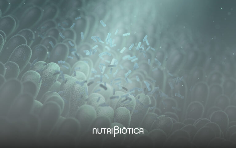 ¿Qué es la microbiota? ¿Cómo cuidarla?