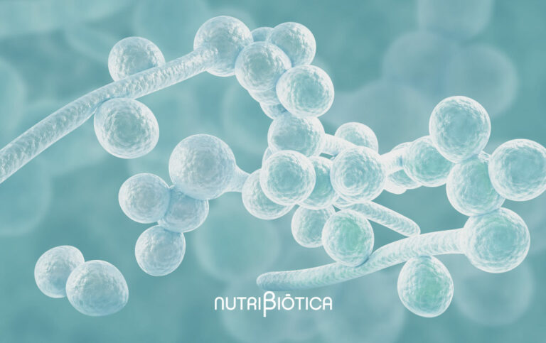 Las dos caras de la Candida albicans