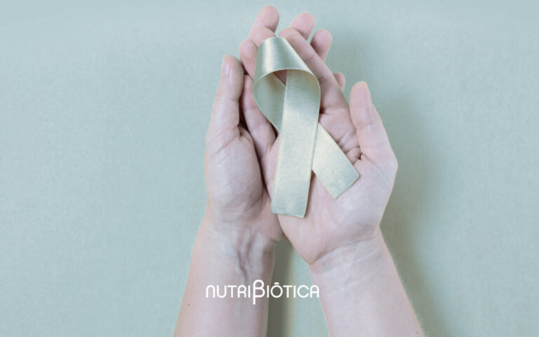 Oncobióticos: ¿Qué son y para qué sirven?