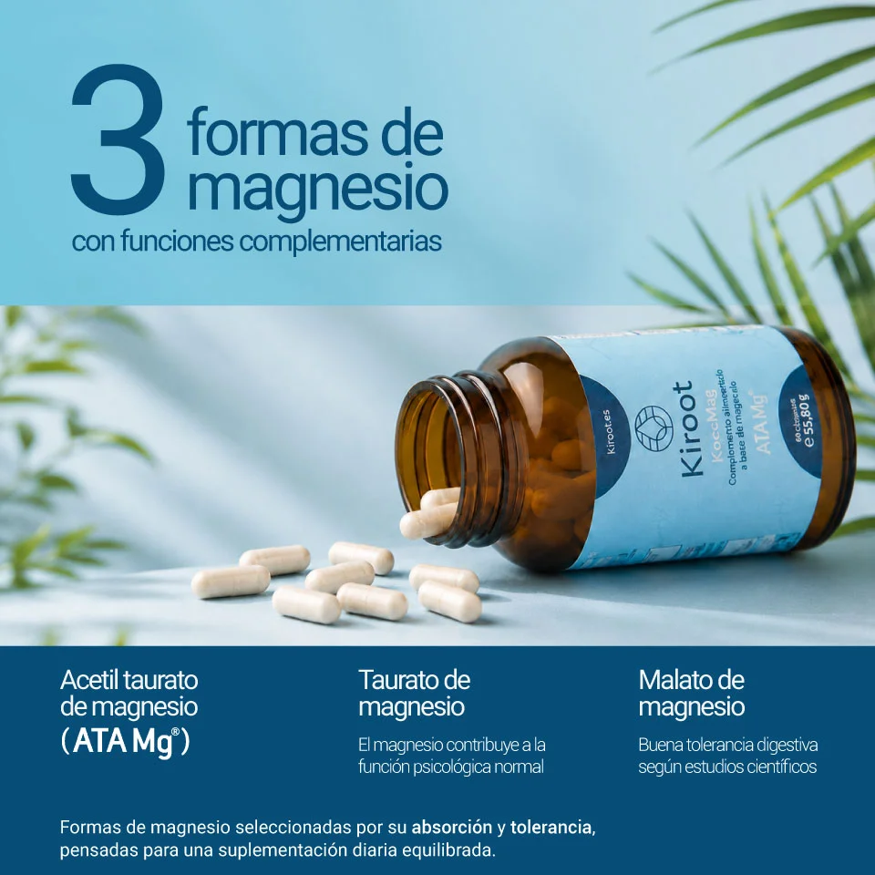 01.-KocoMag-Infografía