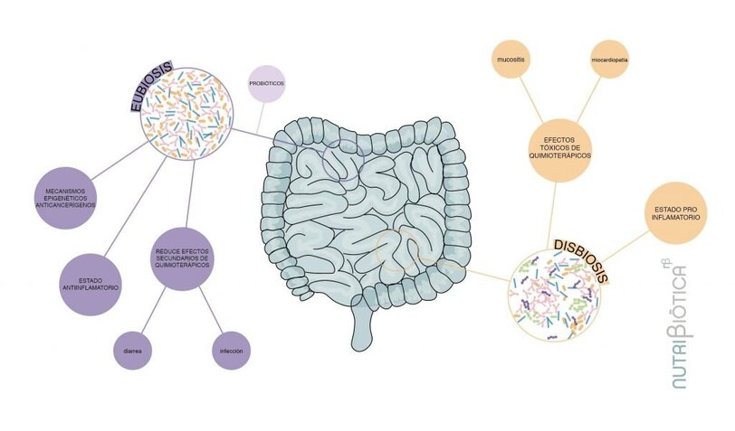 cáncer y microbiota