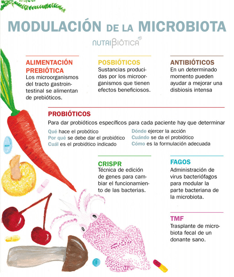 modulacion microbiota